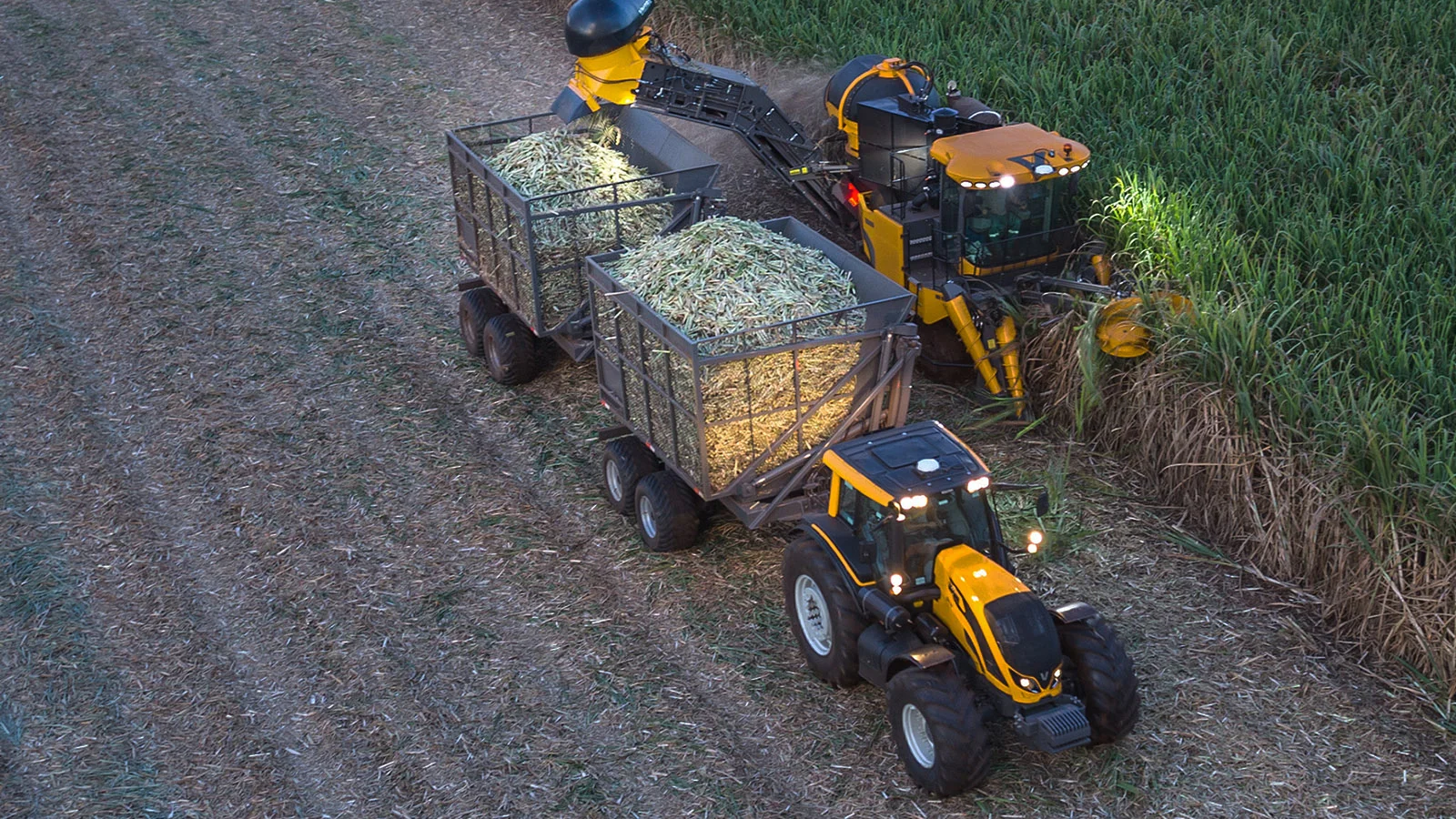 Tractor Valtra - Caña 