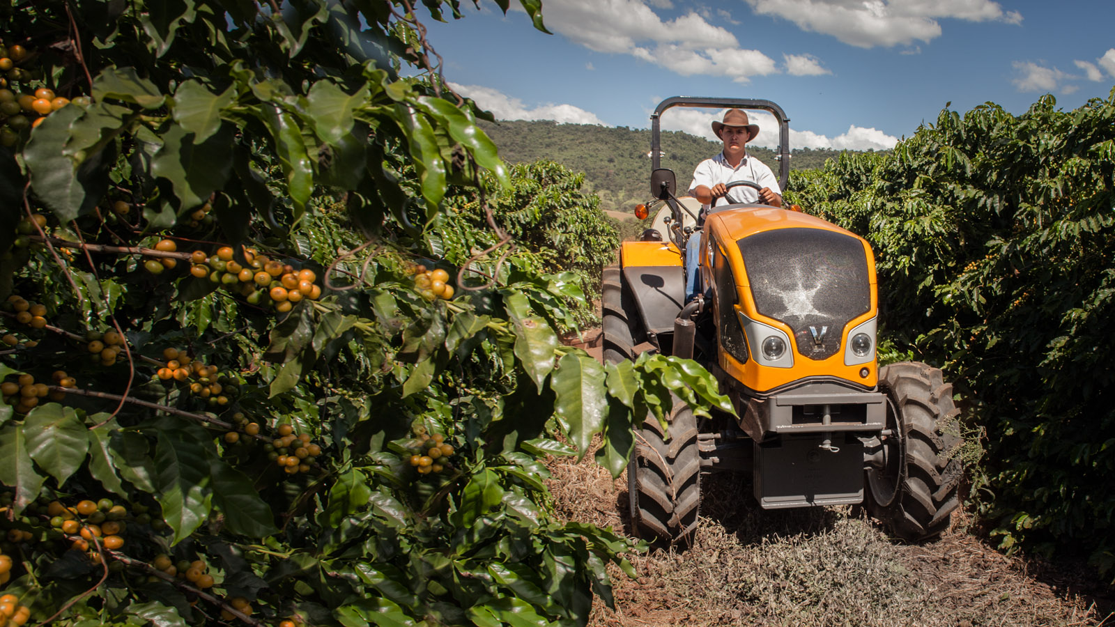 Tractor Valtra - Fruticultura